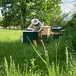 Gaestehaus Zur Bienerei *