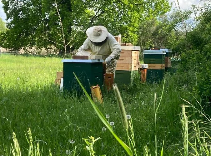Gaestehaus Zur Bienerei *